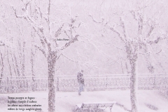 Quai Capo d'Istria, Genève. Un homme dans la neige. Poème à l'hiver.