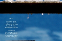 Gouttes, fondant de la neige, sur une balustrade. La vallée est visible dans la goutte. Poème sur la rondeur d'une larme.