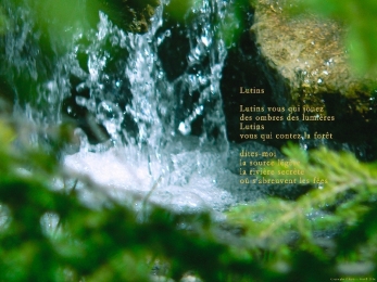Petit rue dans les buissons, Praz-de-Lys, Haute-Savoie. Poème aux lutins.