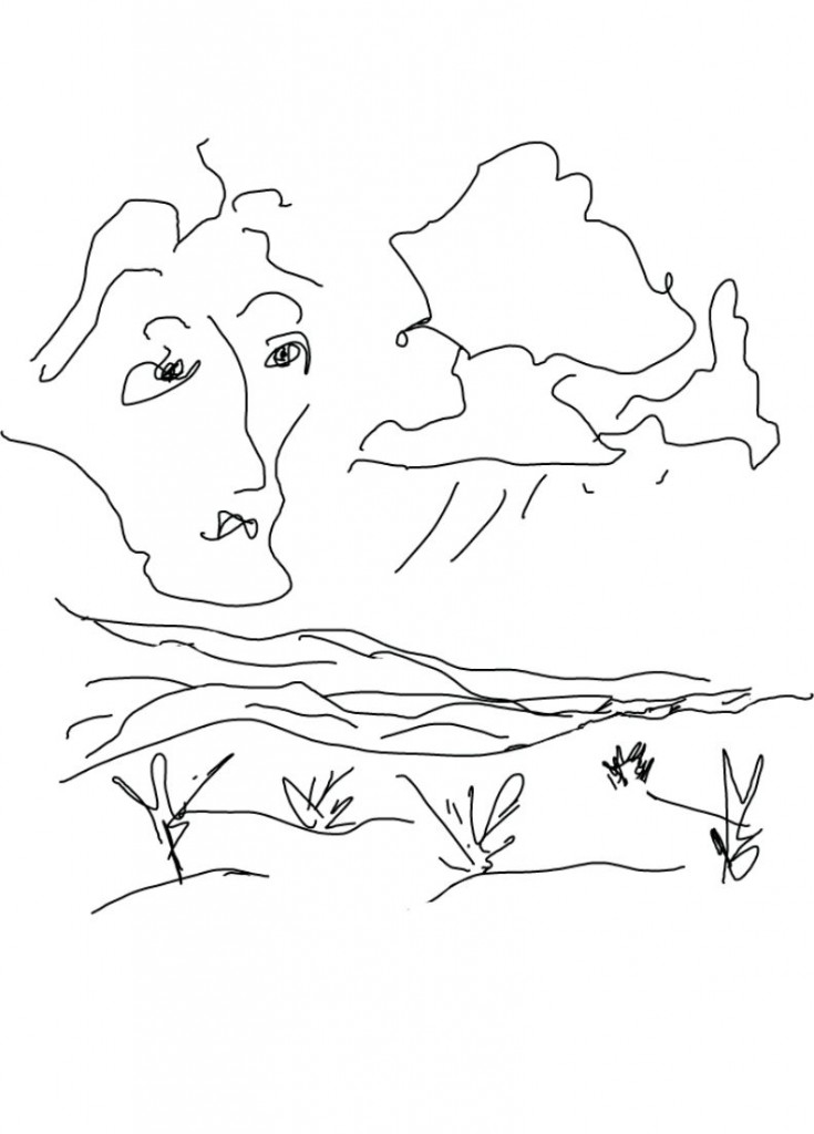 Les fleuves